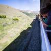 New Zealand 2014~2015-077