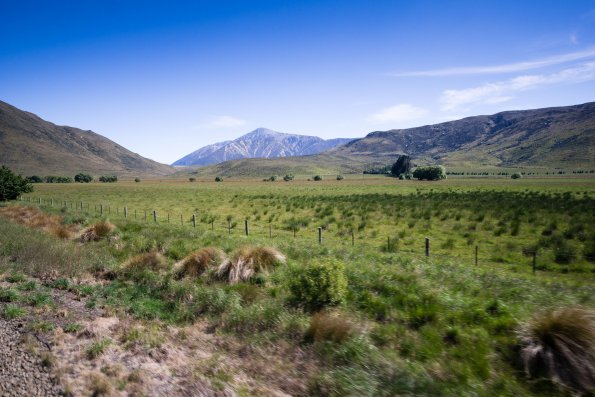 New Zealand 2014~2015-078