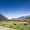 New Zealand 2014~2015-080