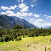 New Zealand 2014~2015-091