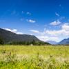 New Zealand 2014~2015-097