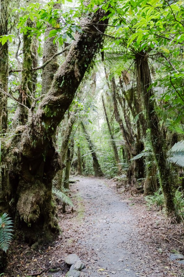 New Zealand 2014~2015-094