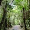 New Zealand 2014~2015-095