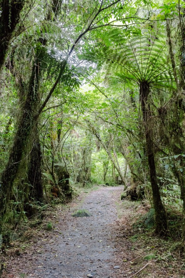 New Zealand 2014~2015-095