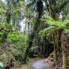 New Zealand 2014~2015-096