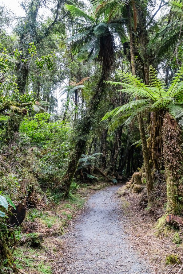 New Zealand 2014~2015-096