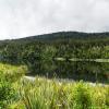 New Zealand 2014~2015-100