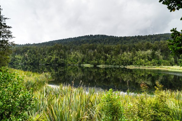 New Zealand 2014~2015-100