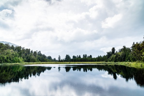 New Zealand 2014~2015-102