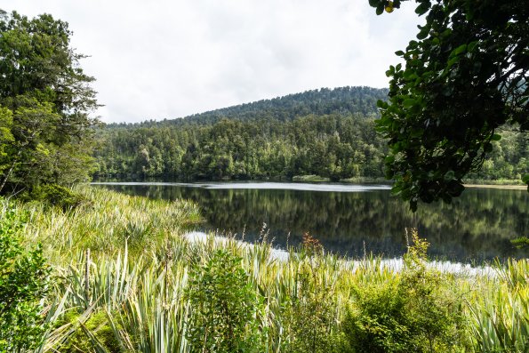 New Zealand 2014~2015-107