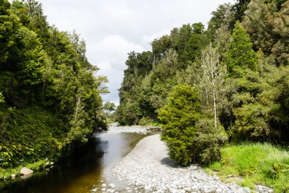 New Zealand 2014~2015-108