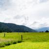 New Zealand 2014~2015-110