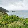 New Zealand 2014~2015-111