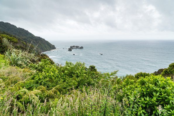 New Zealand 2014~2015-111