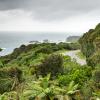 New Zealand 2014~2015-112