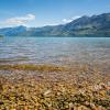 New Zealand 2014~2015-002