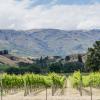 Journey to Queenstown