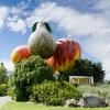 New Zealand 2014~2015-022