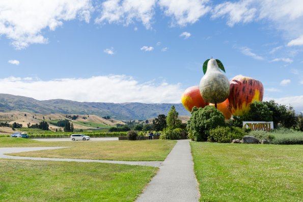 New Zealand 2014~2015-024