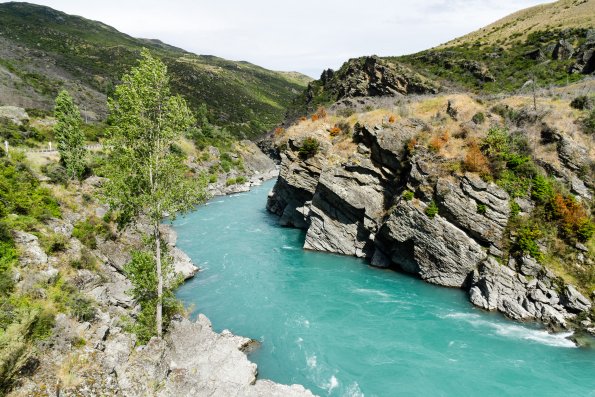 New Zealand 2014~2015-025