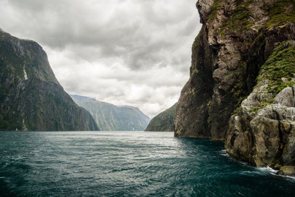 New Zealand 2014~2015-026