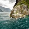 New Zealand 2014~2015-029