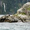 New Zealand 2014~2015-031