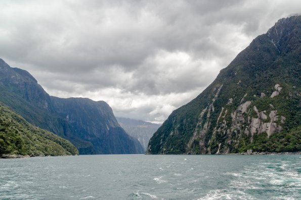 New Zealand 2014~2015-032
