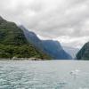 New Zealand 2014~2015-033