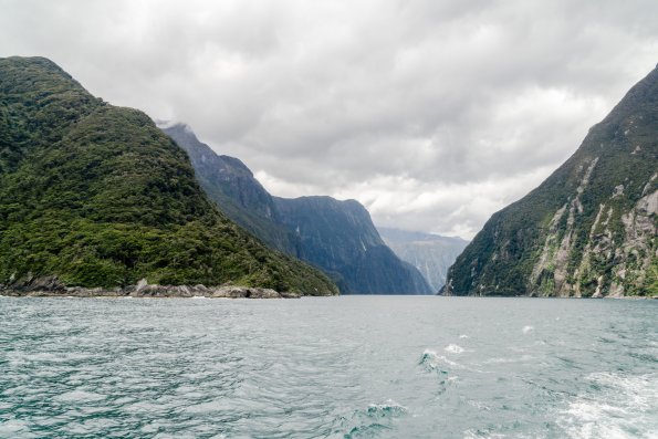 New Zealand 2014~2015-033