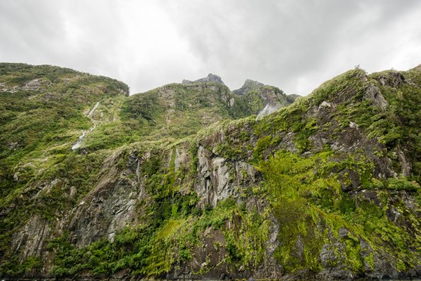 New Zealand 2014~2015-041