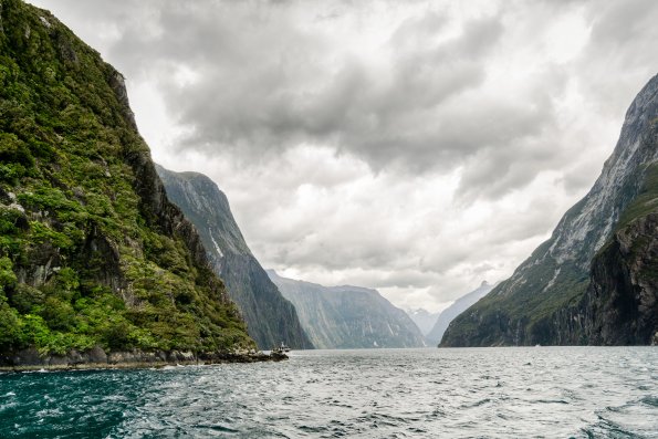 New Zealand 2014~2015-042