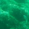 New Zealand 2014~2015-053
