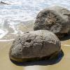 New Zealand 2014~2015-010