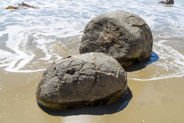 New Zealand 2014~2015-010