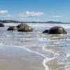 New Zealand 2014~2015-017