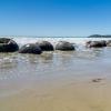 New Zealand 2014~2015-021