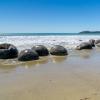 New Zealand 2014~2015-022