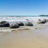 New Zealand 2014~2015-023