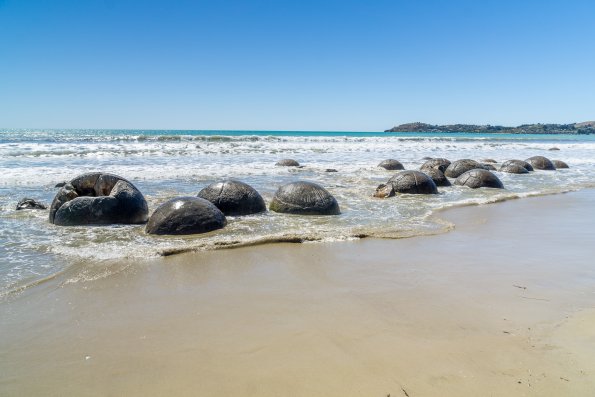 New Zealand 2014~2015-023
