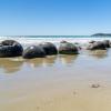 New Zealand 2014~2015-024
