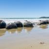 New Zealand 2014~2015-025