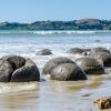 New Zealand 2014~2015-026