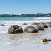 New Zealand 2014~2015-027