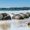 New Zealand 2014~2015-028