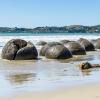New Zealand 2014~2015-030