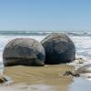 New Zealand 2014~2015-031