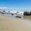 New Zealand 2014~2015-032