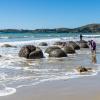 New Zealand 2014~2015-033