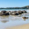 New Zealand 2014~2015-034